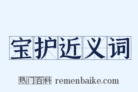 宝护近义词是什么意思的图片
